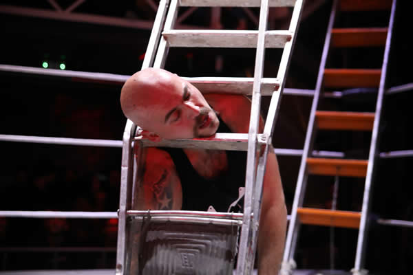 Χασάπης inside ladder